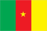Cameroon flag